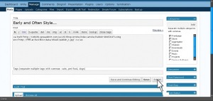 meta_publish_screenshot