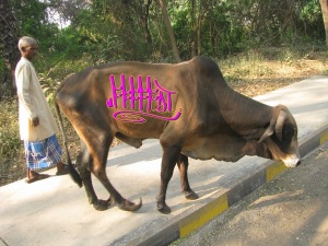 FATCOW