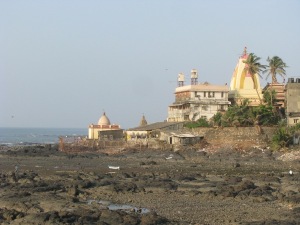 IMG_2479