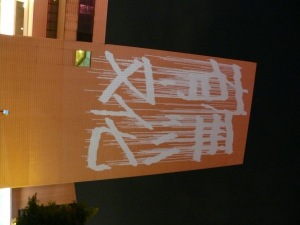 P1010254