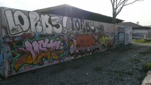 P1020952