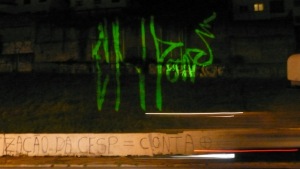 P1030829