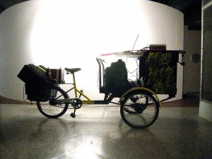 IMG_4590