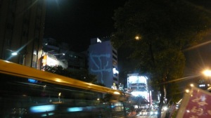 P1020598