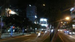 P1020603