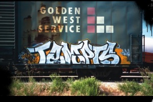 tempt-tag-14
