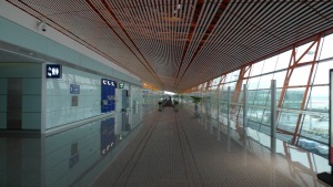 P1010099