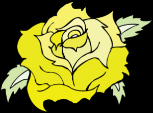 53