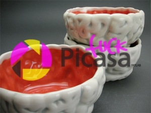 20100202150732_brainbowls