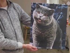 ioc_happycat_01