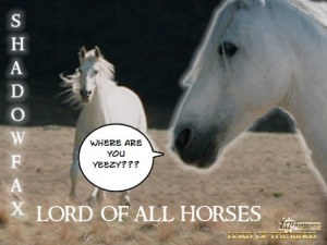 lord-of-all-horses-11901-1242479741-52