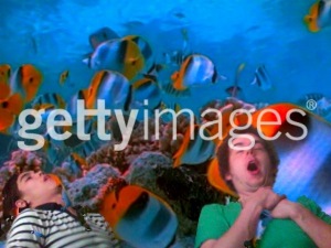 20090419034700_Photo60