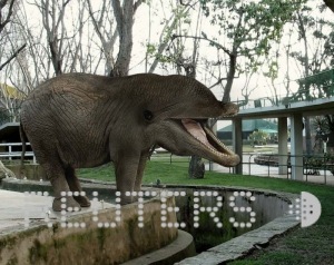 20090807025340_ElephantDolphin