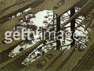 20110512111527_13-escher_puddle