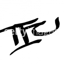 20110810125347_TFCtag