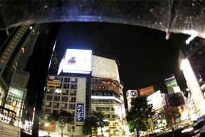 _IGP3444