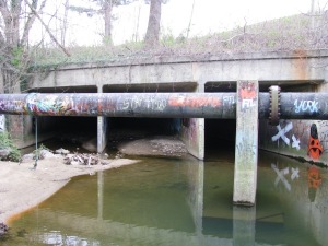 IMG_1270