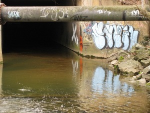IMG_1287